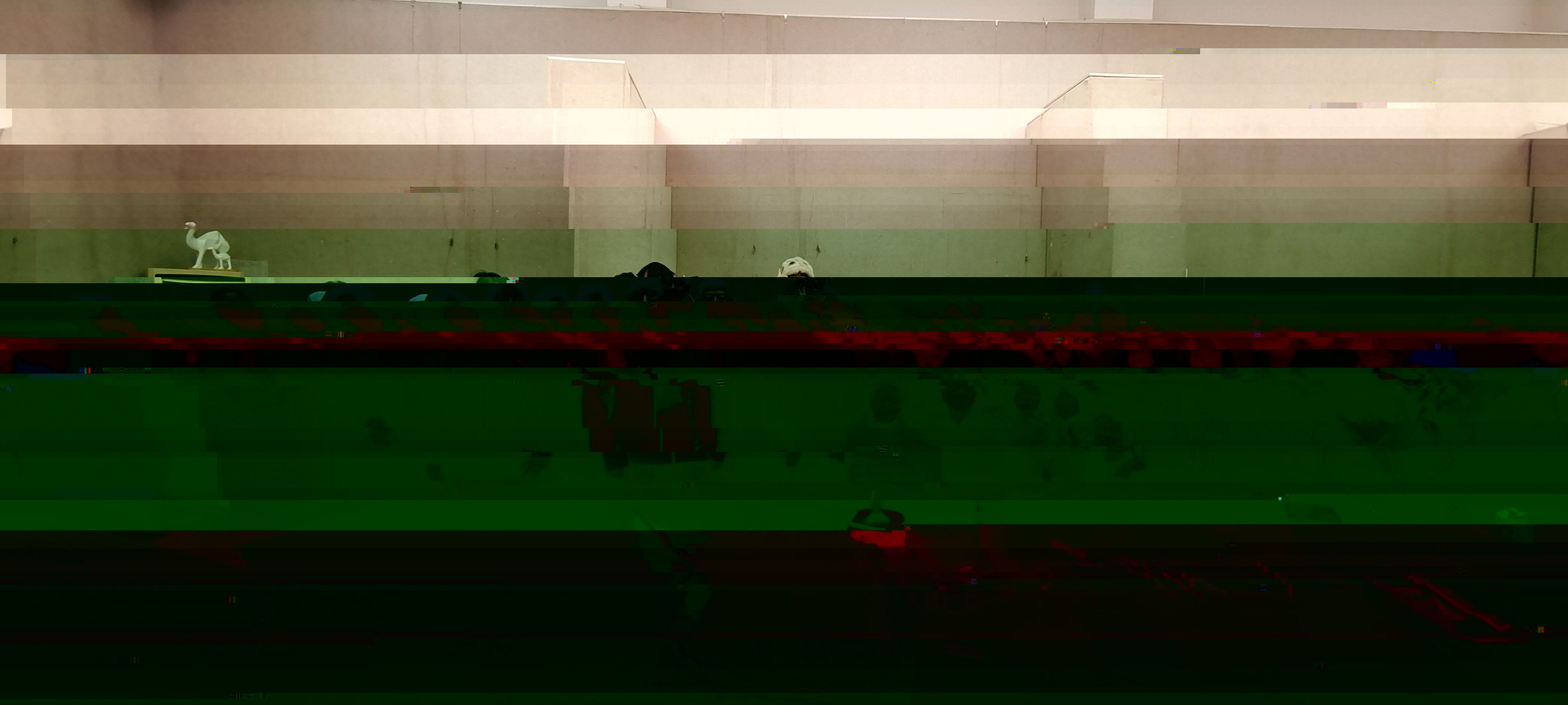 4e8c6d70411b43e896c5032e8165baf2.jpg